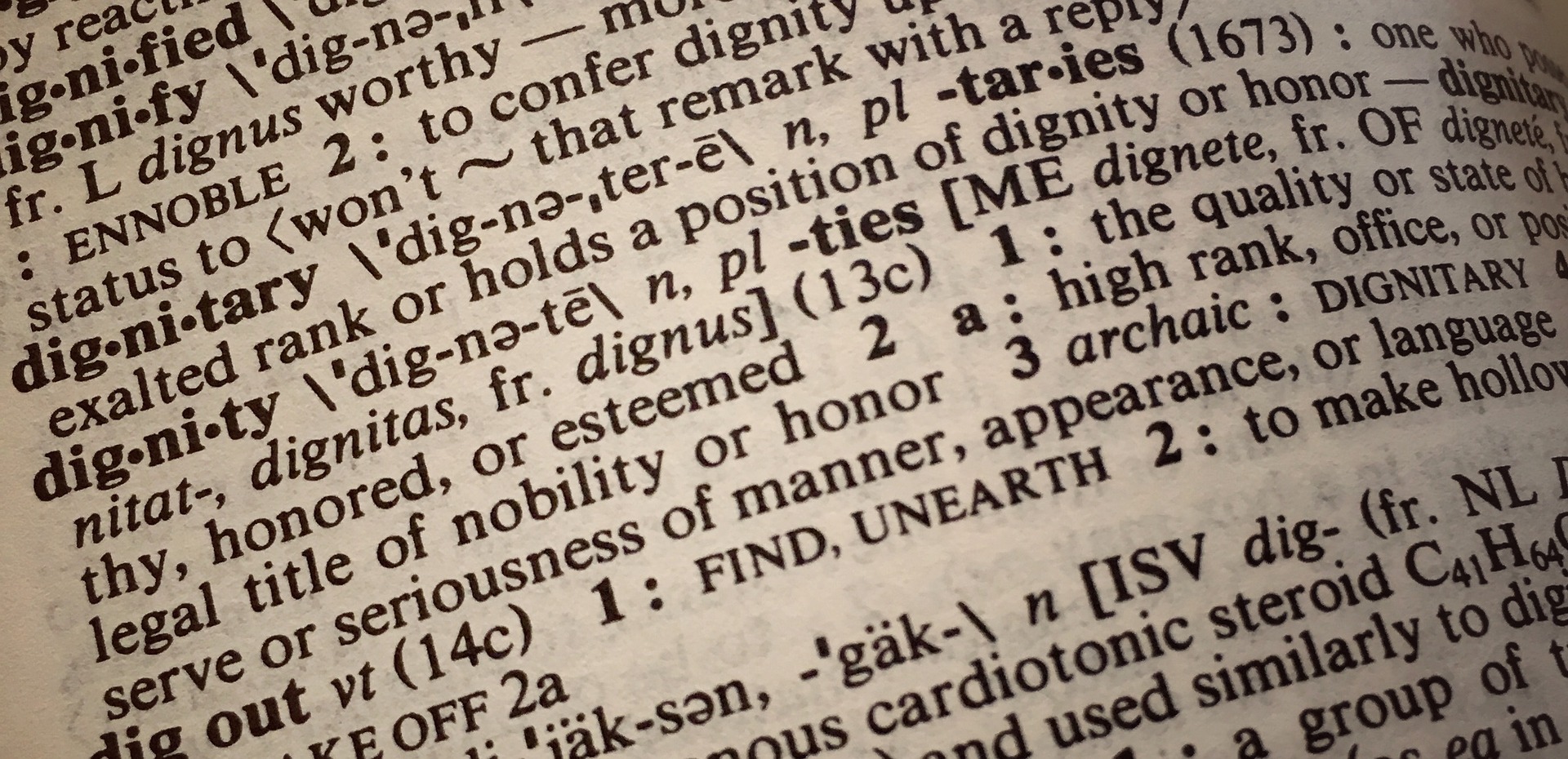 "dignity" definition